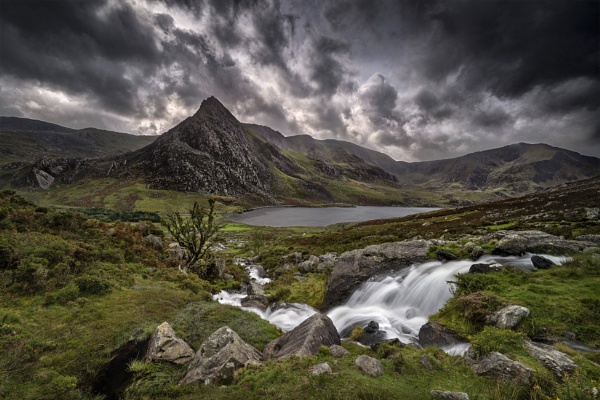 Ogwen Valley with tree by Pete2453