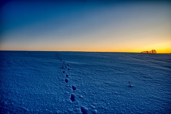 Footprints by Kerpa