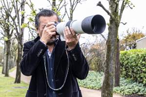 Canon RF 200-800mm F/6.3-9 IS USM Lens Hands-On Review